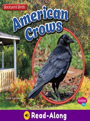 cover image of American Crows